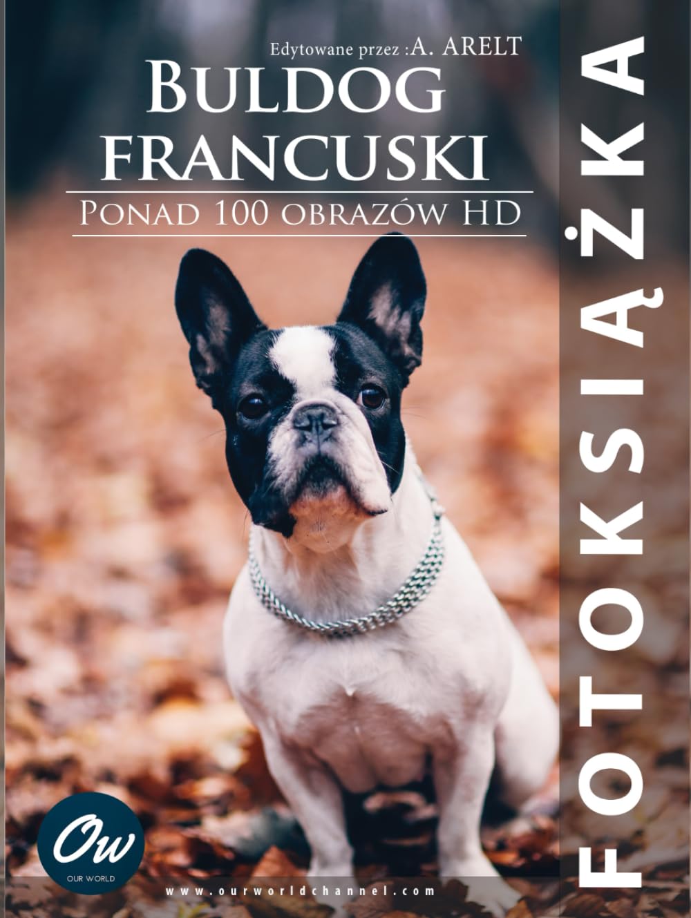Livre photo Bouledogue Français reliure prestige papier d'art