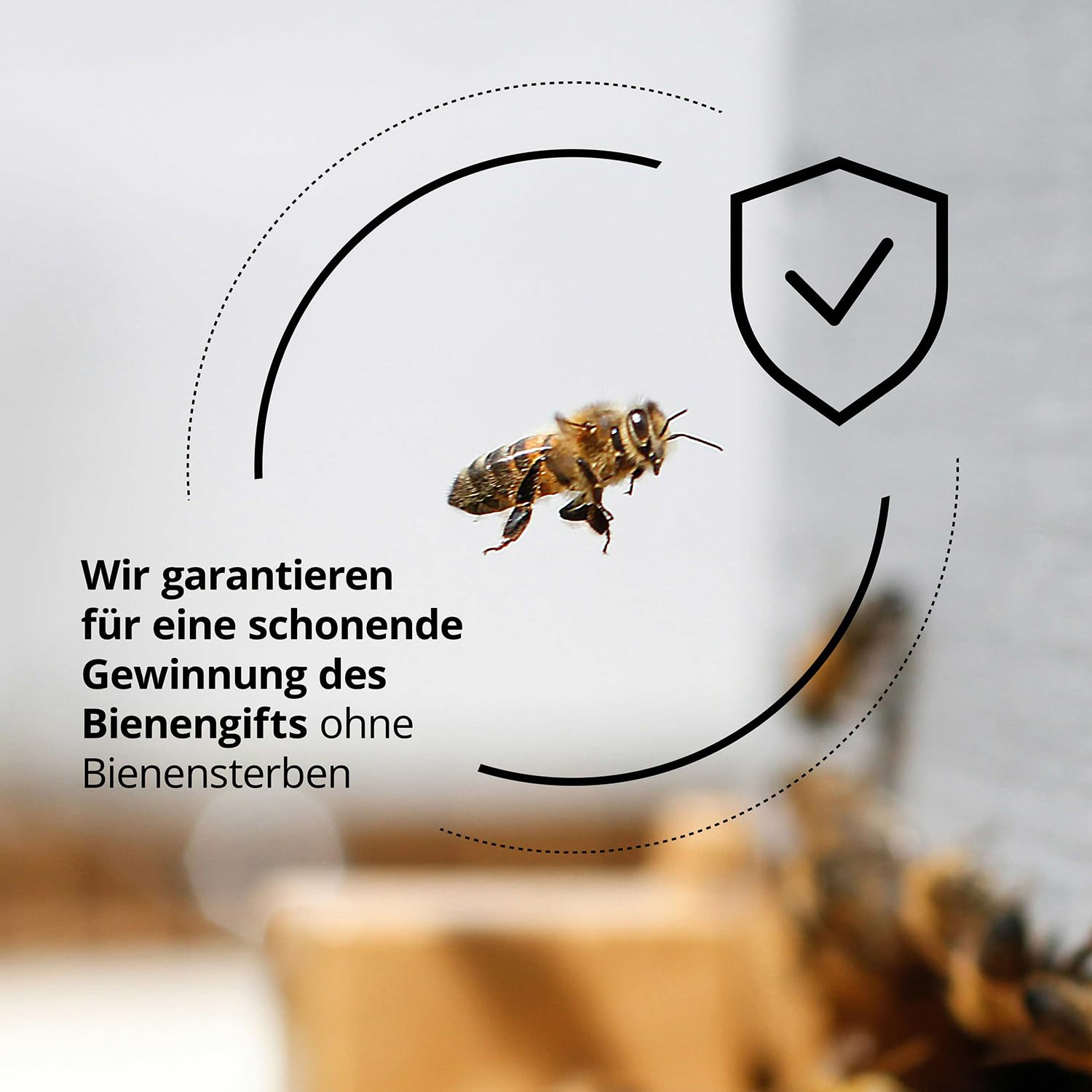 maorika Bienengiftsalbe mit Manukaöl (Kühlend & beruhigend) - Bienengiftcreme hochdosiert mit u.a. Shea Butter, Eukalyptus, Aloe Vera, Rosmarin & Zitronenschalenöl