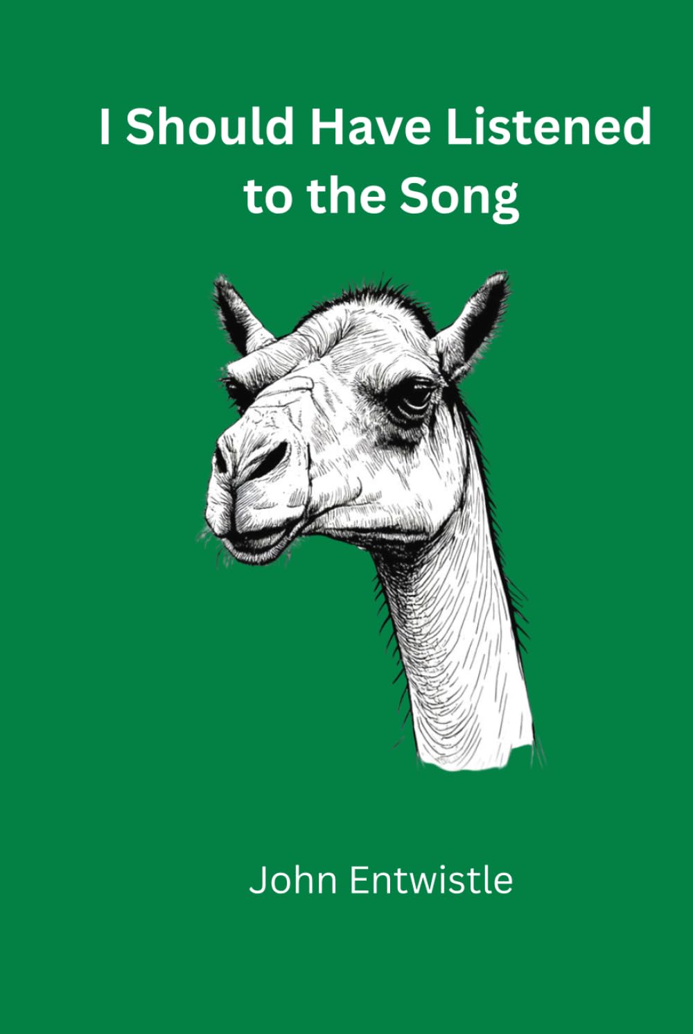I Should Have Listened to the Song