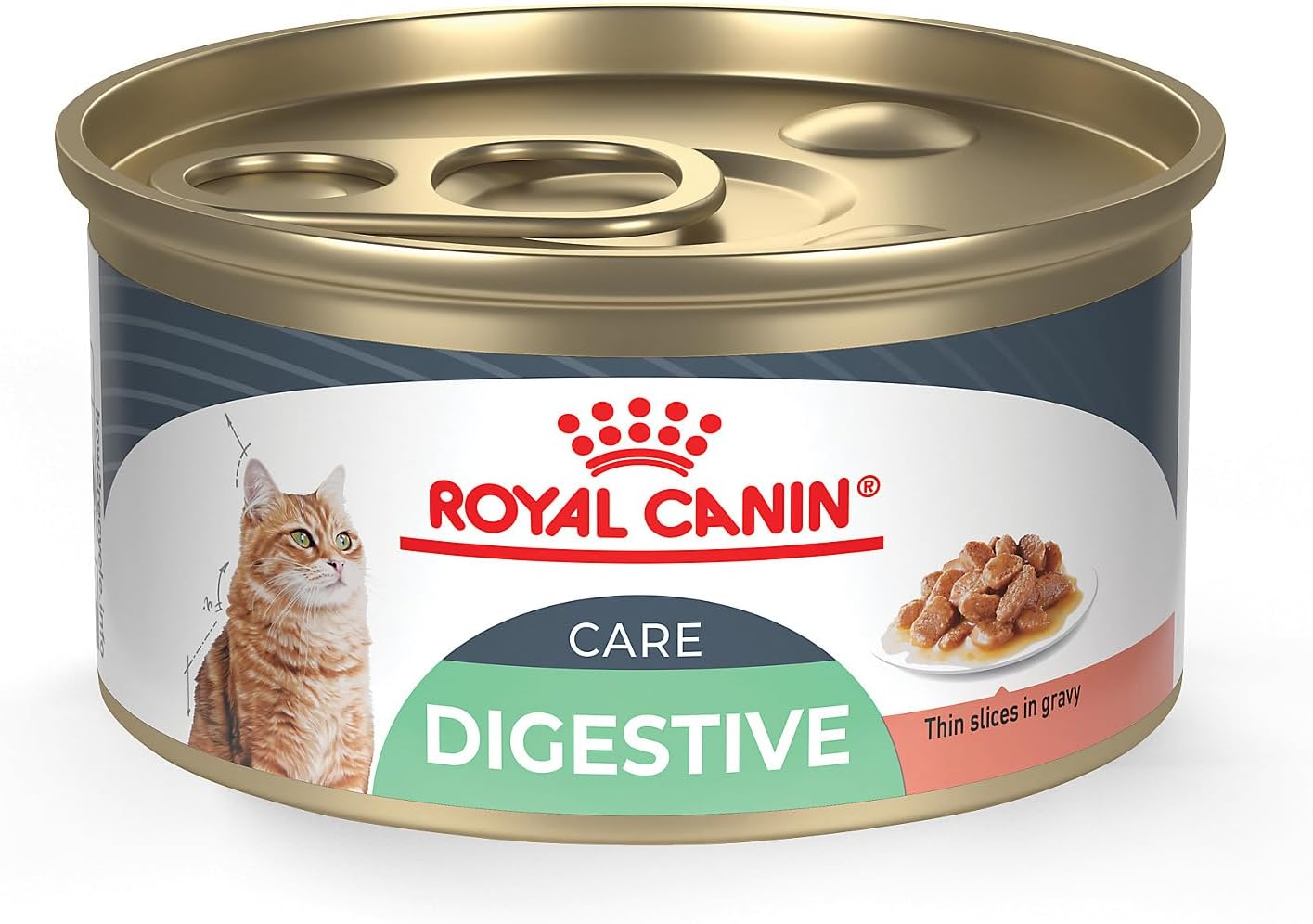 ROYAL CANIN 24-Can Feline Health Nutrition Digest Sensitive Canned Cat Food, 3-Ounce Per Can thin slices in gravy