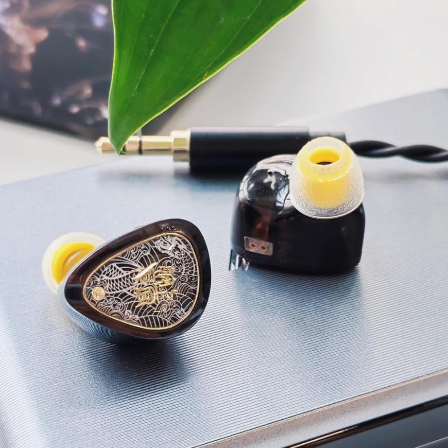 Image of TANGZU Wan'er S.G II in Ear Monitor, Gaming IEM Earphones, HiFi Wired Earphones with 10mm Single Dynamic Driver PET Diaphragm, 0.78mm 2-Pin Tangle-Free Detachable Cable (Black, 3.5mm)