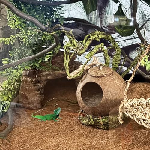 Image of Crested Gecko Coconut Hide Natural Lizard Coco Hut Reptile Hanging Nest Flexible Vine Habitat Decoration Bearded Dragon Terrarium Accessories for Chameleon Tree Frog Snake Hermit Crab