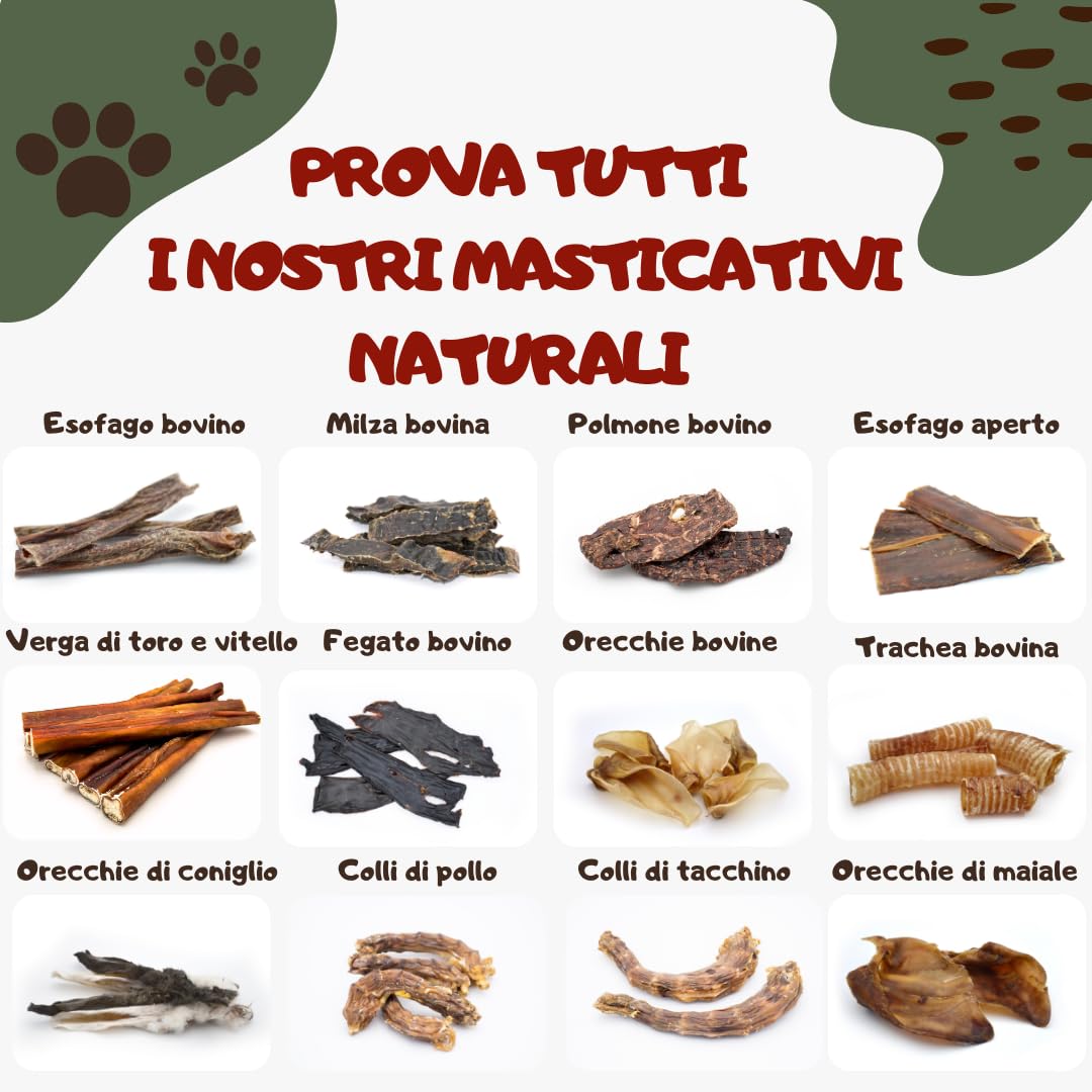 Sam Snack Nervo di vitello per cani 100% naturale 15 CM masticativi premium dieta BARF CANI TAGLIA EXTRA PICCOLA E PICCOLA (12 PZ)