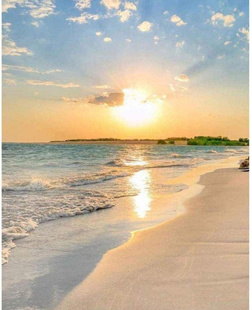DIY Cross Stitch Needlework Kits for Adults Beach of The Sea at Twilight 11CT Stamped Cross-Stitching Supplies Kits Printed Pattern Fabric Embroidery Needlepoint Crafts 16x20 inch