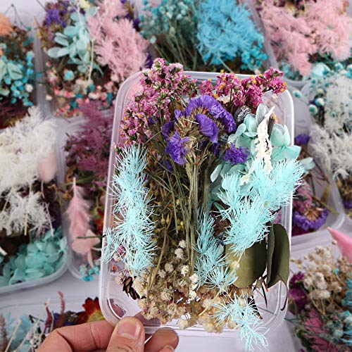 Caja de Flores Secas Coloridas para Manualidades DIY miniatura 6