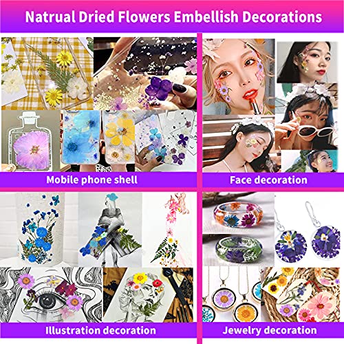 Flores secas prensadas, 120 piezas para manualidades miniatura 5