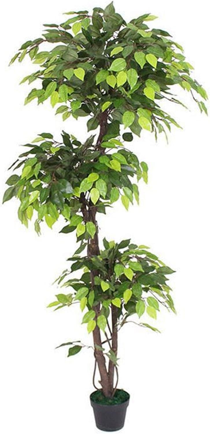 FOX & FERN Topiary 6 FT Ficus Artificial Plant | with Basic Pot | Elevate Any Corner of Your Home/Garden | Best for Gifting | Party, Wedding and Home Decor GAJW2752