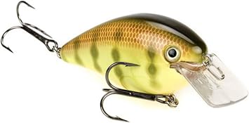 Strike King KVD Splash 2 1/4-Inch Topwater Lure, 1 Piece