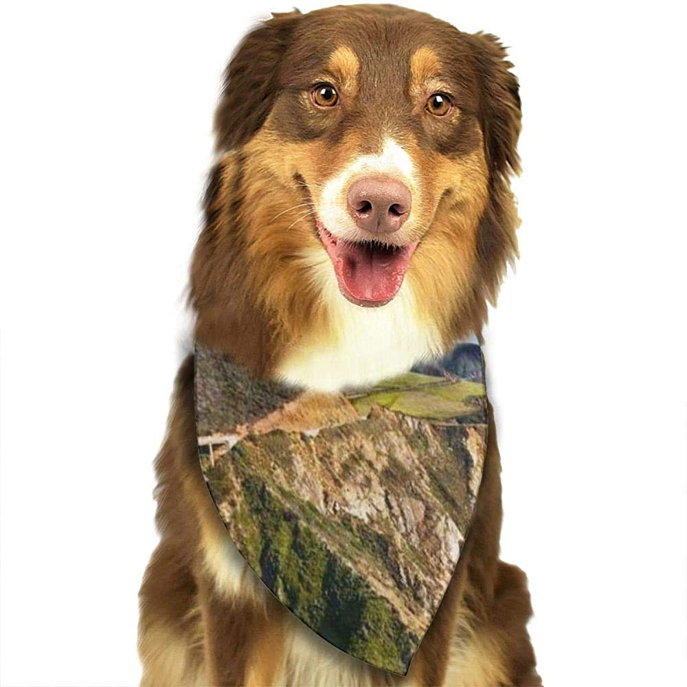 YAGEAD Dog Bandana Puppy and Pet Bandanas, Bixby Bridge Pet Scarf