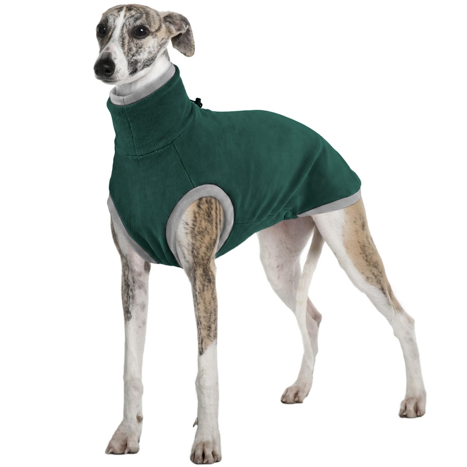 Greyhound Fleece, Salukis Coat Lurcher Pyjamas Saluki Jakcet(Green, 2XL)