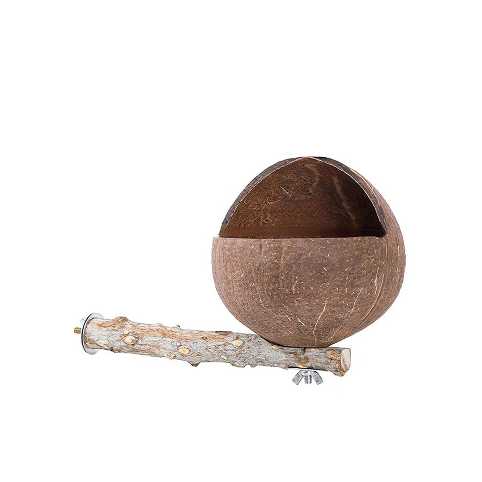 Support d'hiver en noix de coco pour perruche et conure solaire