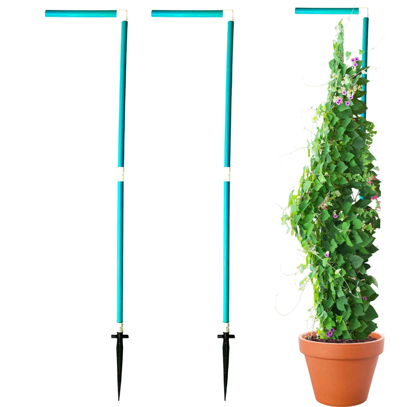 Plant Support Pole for Creepers & Long Plant Support Sticks 5 Feet (Green | Pack of 2) Garden Tool by Invelligen (B0BXJ787HQ) Amazon Price History, Amazon Price Tracker