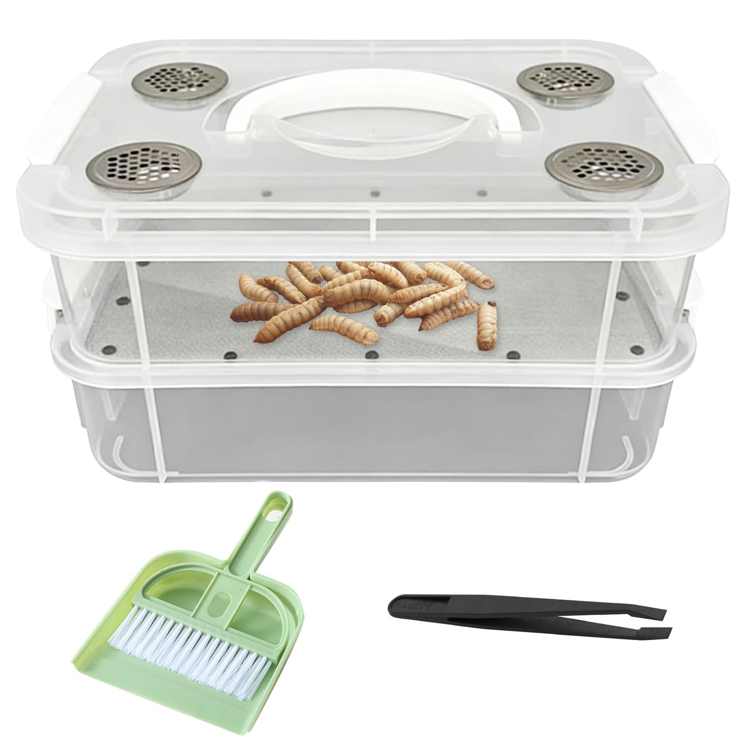 Kit de Cría de la Harina, Contenedor para Cría de Tenebrios, Contenedor Transparente de Doble Capa de Tenebrios, Caja de Cultivo y Cría de Gusanos de la Harina, para Petauros del Azúcar, Aves, Pollos