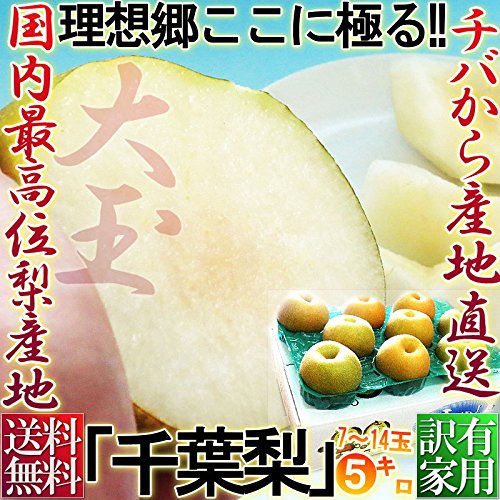 Amazon.co.jp: 千葉梨 幸水 約5kg 7～14玉 大玉限定 訳あり品 なしの
