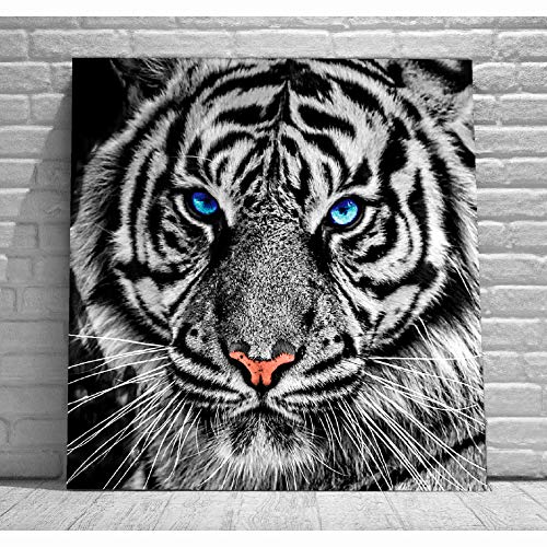 Omgpoparttiger Black And White Blue Eyes Motivation Wall Art Canvas Print Poster Office Dailymail