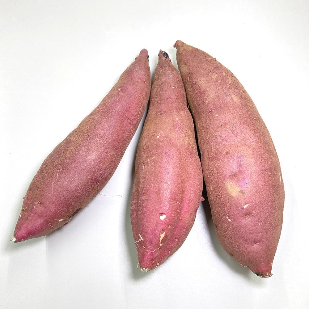 食品 茨城県産紅はるかL30キロシルク5キロ計35キロ YU様専用