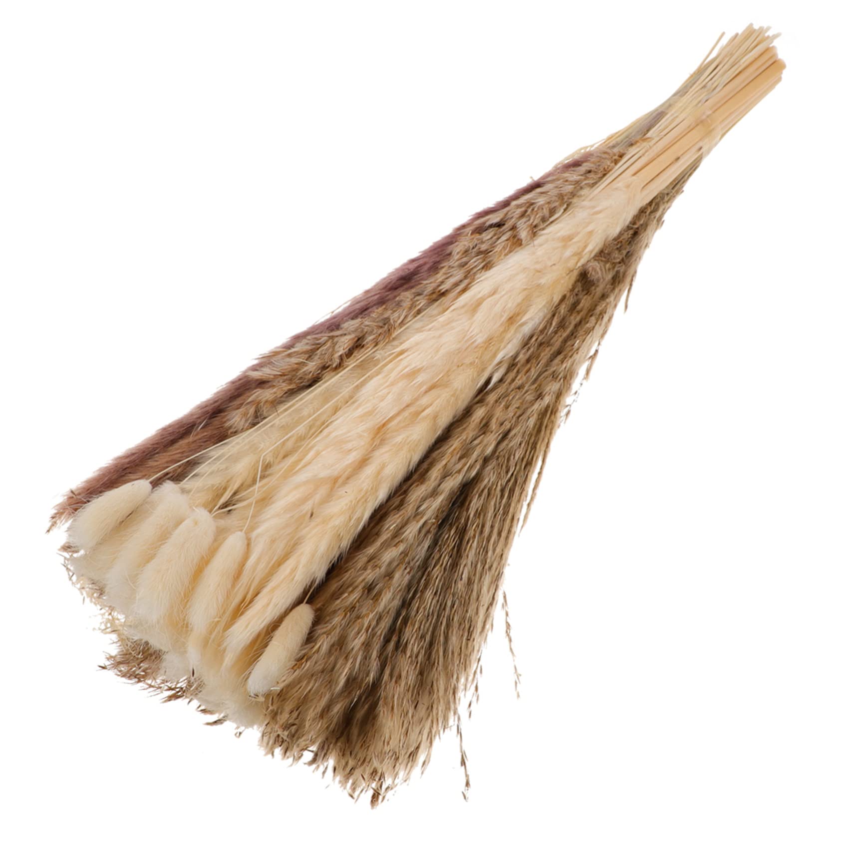 Zerodeko 2ensembles Pampas Séchées Artificielles De Tiges De Fleurs Décoratives pour Décoration DIY Ambiance pour Mariages Et Événements pour Maison Et Bureau