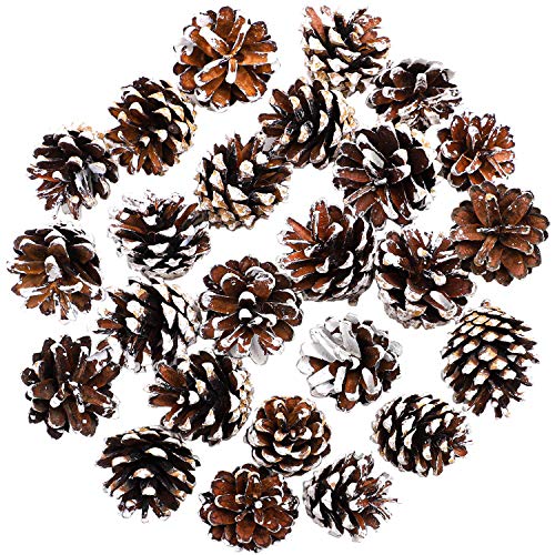 Cooraby 24 Pine Cones - 4 to 6 cm Snow Pine Cones for Fall and Christmas Party Decoration