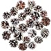 Cooraby 24 Pieces Mini Pine Cones Christmas Snow Pine Cones Natural Ornament 4 to 6cm Pine Cones Pendant for Fall and Christmas Party Decoration Home Decoration (Snow, 24)