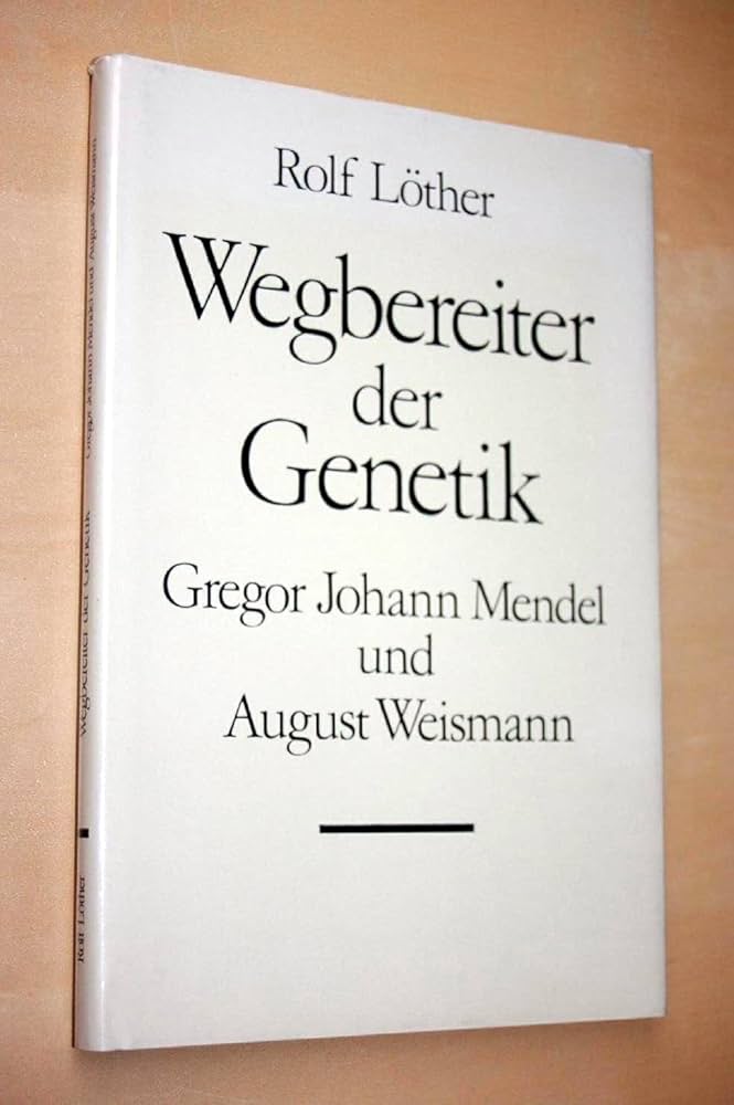 image not described image