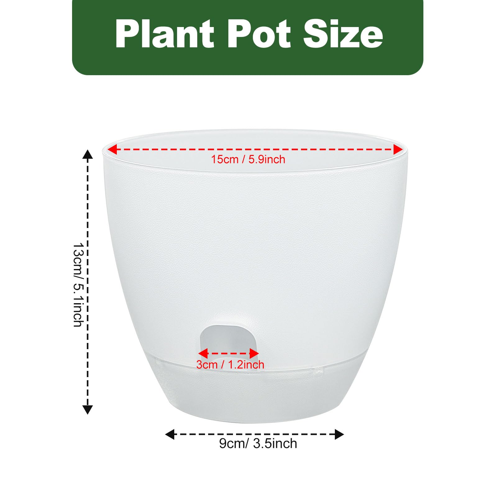Snapklik.com : IWNTWY Plant Pots 6 Inch Set Of 10, Clear Self Watering ...