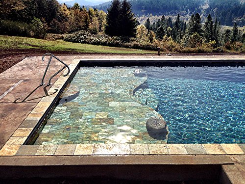 S.r. Smith Mer-1001S-Mg Meridian Series Single Pool Hand Rail, Stainless Steel #TOP1