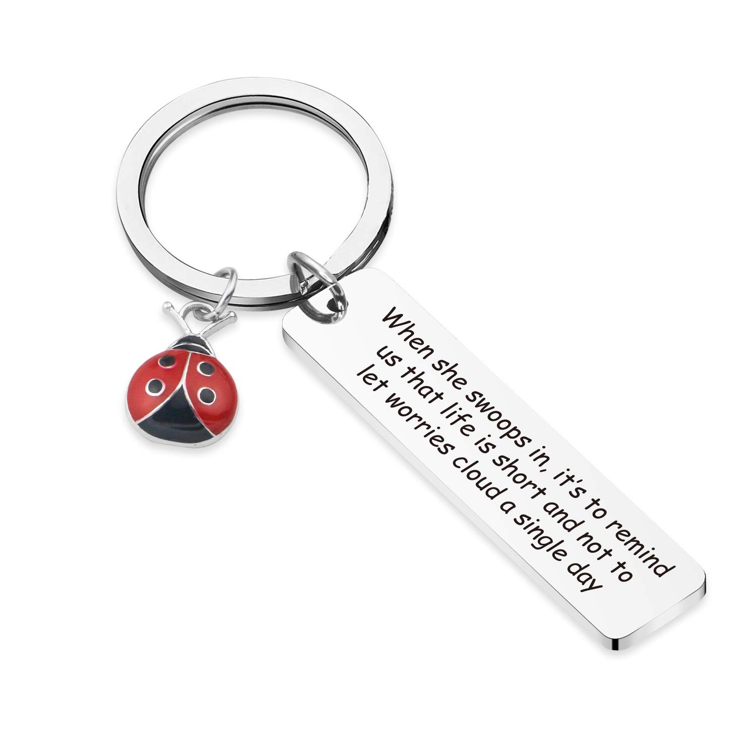 wenataWENATA Good Luck Ladybug Jewelry When She Swoops Keychain