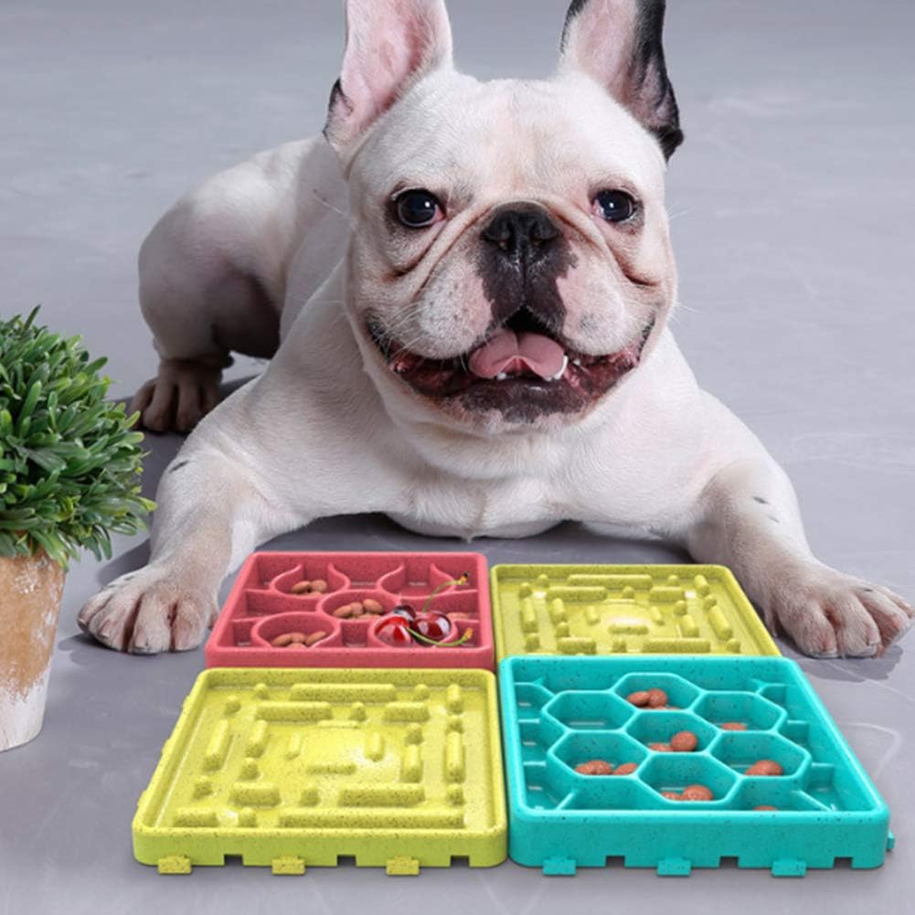 sollievo dall'ansia per i cani