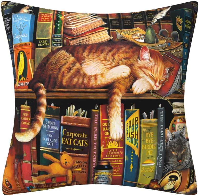 Cat Cushion Covers Lovely Bookshelf Sleeping Cat Gifts for Cat Lovers Double-Sided Square Decor Pillow Cover 45 x 45 Sofa Livingroom Bed Farmhouse Throw Pillow Case 18"x18"