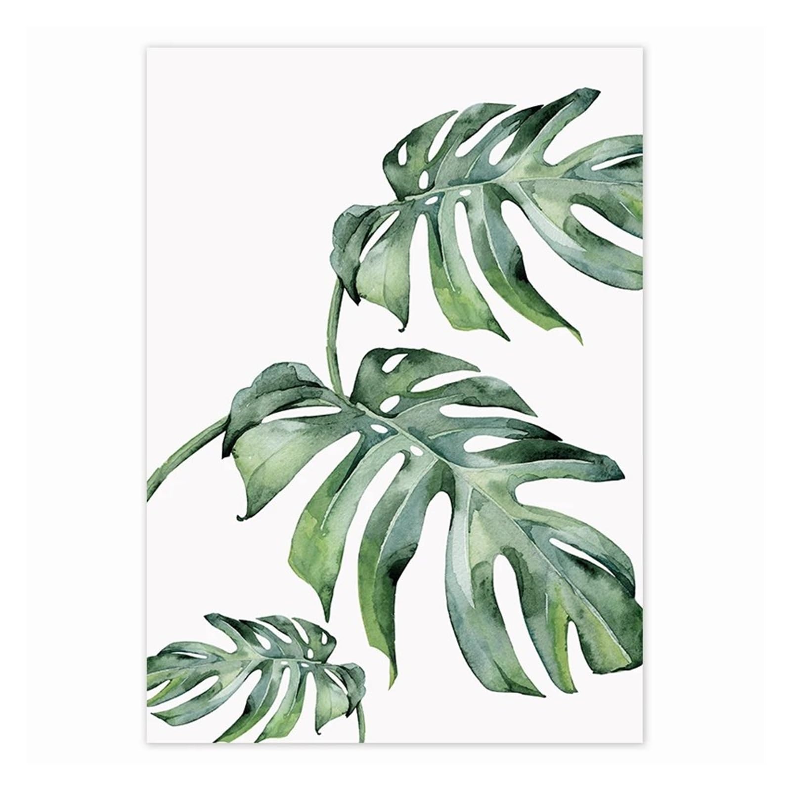 Affiche de plantes de style scandinave pour décoration maison et salon moderne 40x60cm