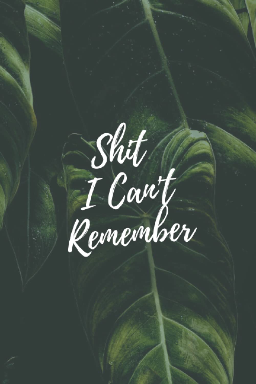 Shit I Can't Remember Password Notebook: Internet Password Logbook: A Password Log Book, Journal & Notebook for Disorganized Men Women