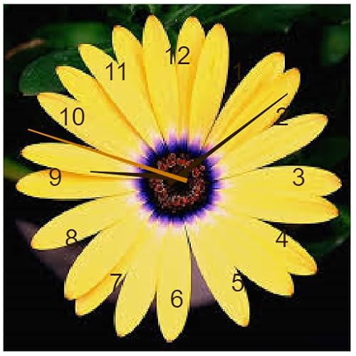 App_Clock_46 - //medicalbooks.filipinodoctors.org