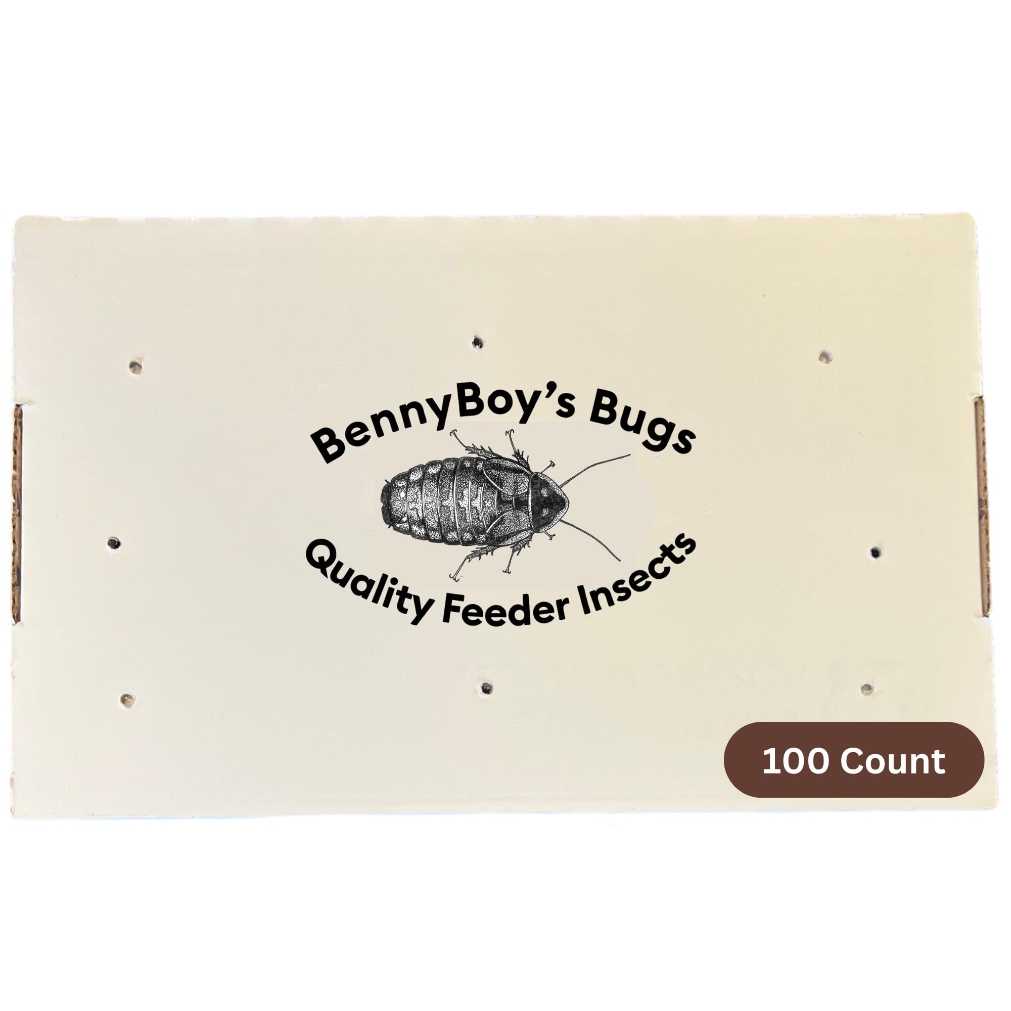 100 Medium Dubia Roaches (3/8”–3/4”) – Live Feeder Insects for Bearded Dragons, Reptiles & Amphibians – Gut Loaded