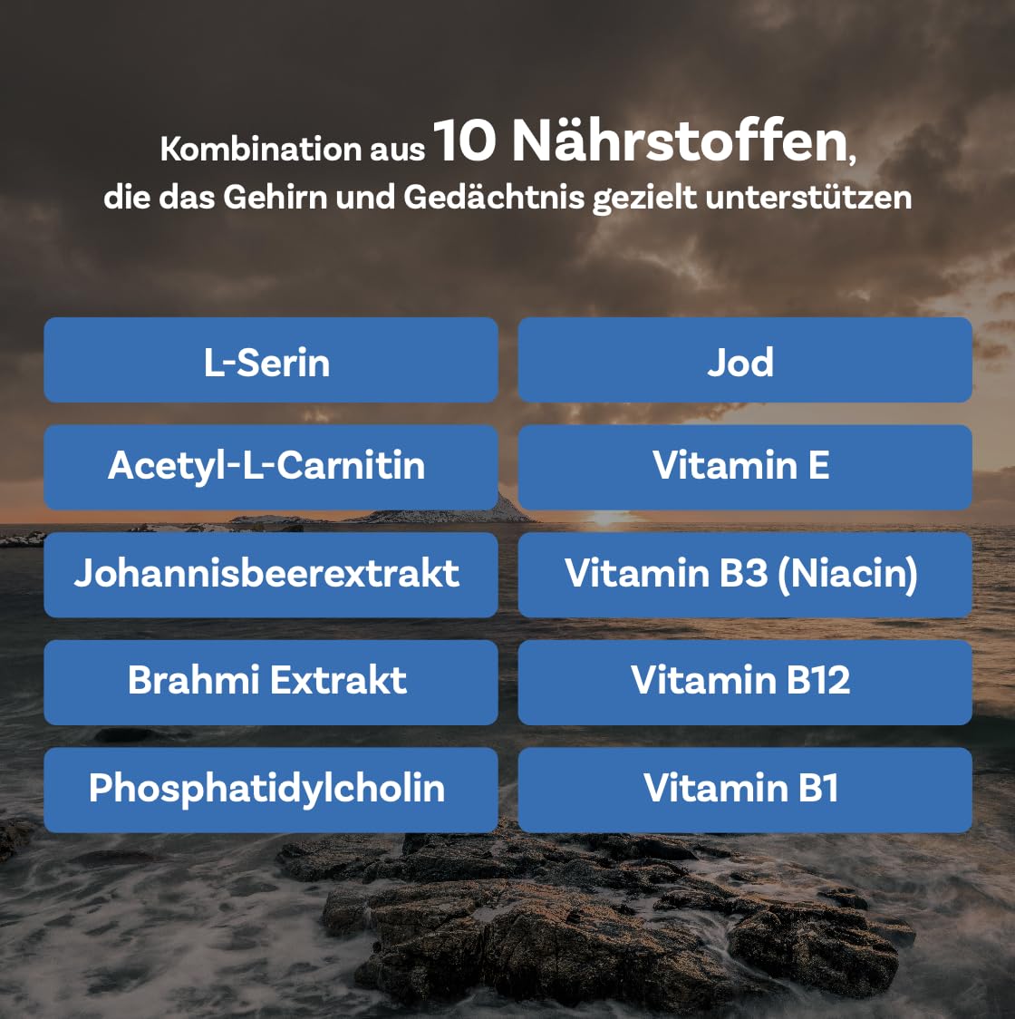 L-SERIN MEMORY® – Gedächtnis & Konzentration | 10 Nährstoffe mit L-Serin, Acetyl-L-Carnitin, Bacopa & Vitamin B12 | Für kognitive Leistung & Fokus | 60 Tabletten