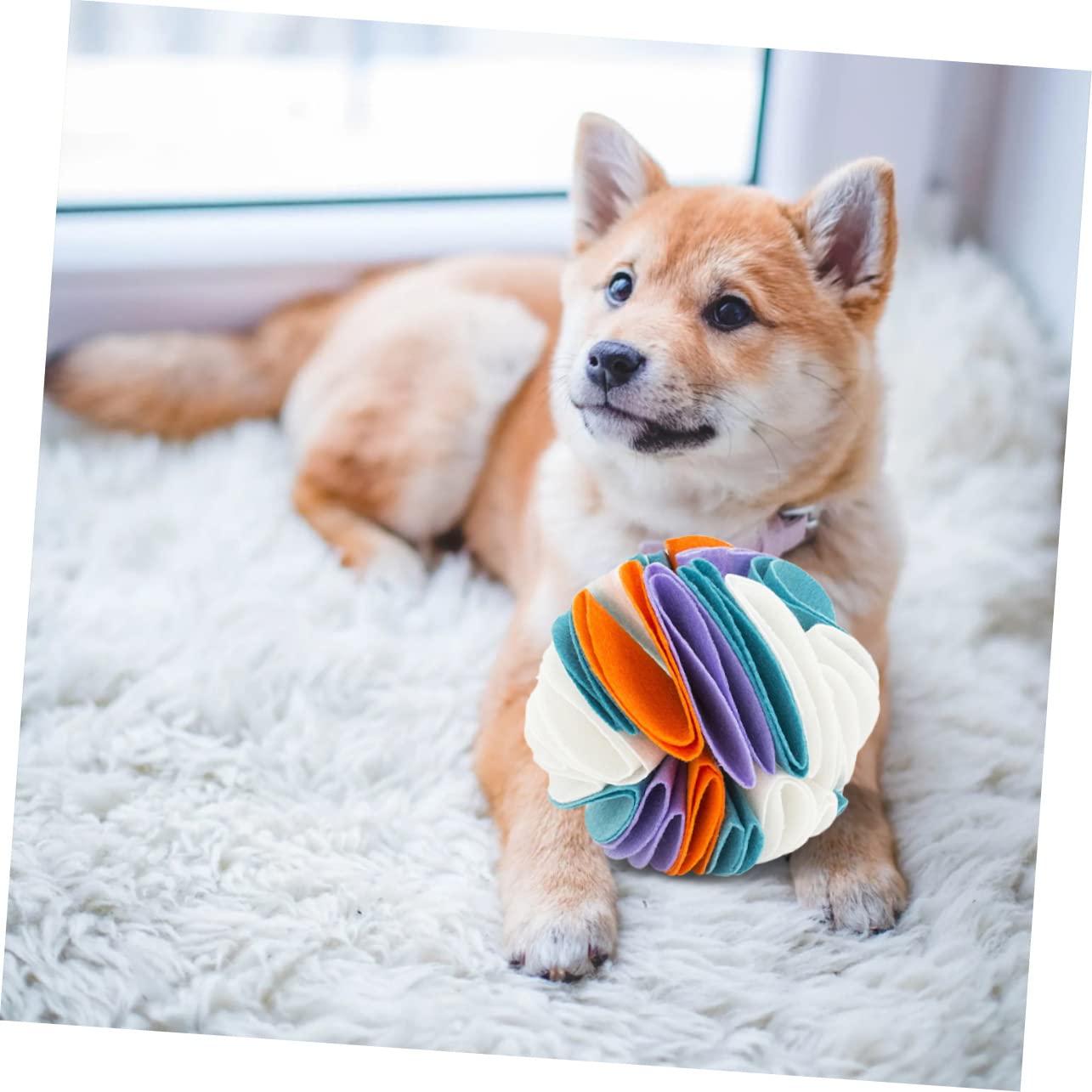 INOOMP 2stücke Pet Snuffle Für Hunde Interaktives Futterleckspielzeug Aus Strapazierfähigem Filz Fördert Das Schnüffeln Und Langsames Fressen Farblich Sortiert