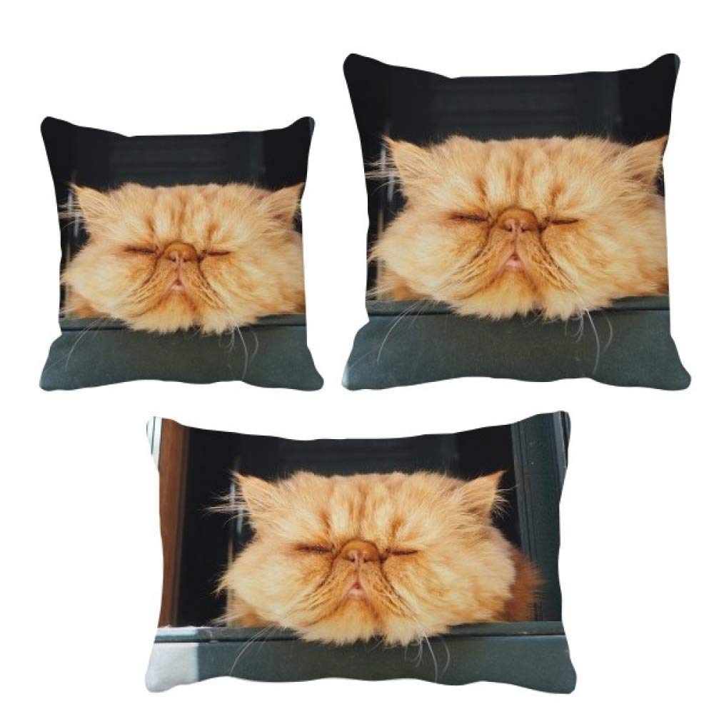 Coussin chat jaune au design animalier unique pour canapé salon