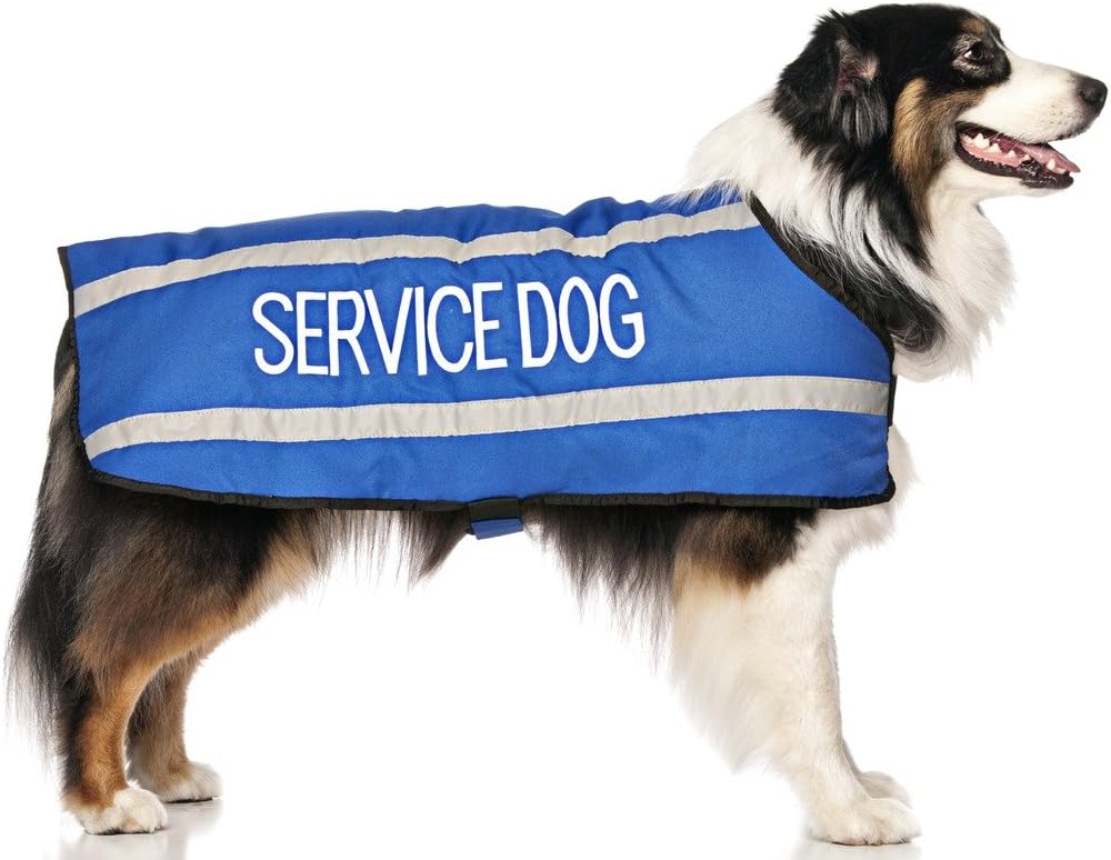 assistance dog coat