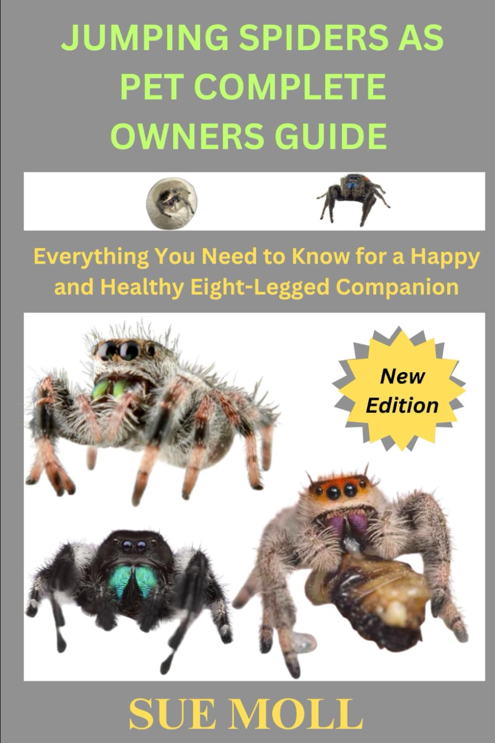 JUMPING SPIDERS AS PET COMPLETE OWNERS GUIDE: Everything You Need to Know for a Happy and Healthy Eight-Legged Companion