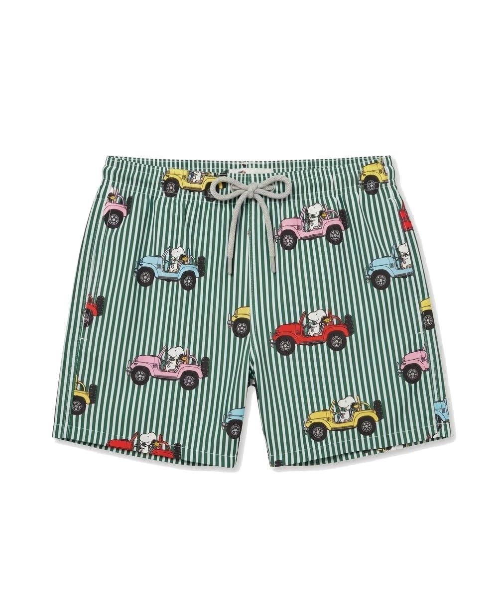 Saint Barth MC2 Costume Boxer Jean Righe Verdi e Bianche Stampa SUV Colorati