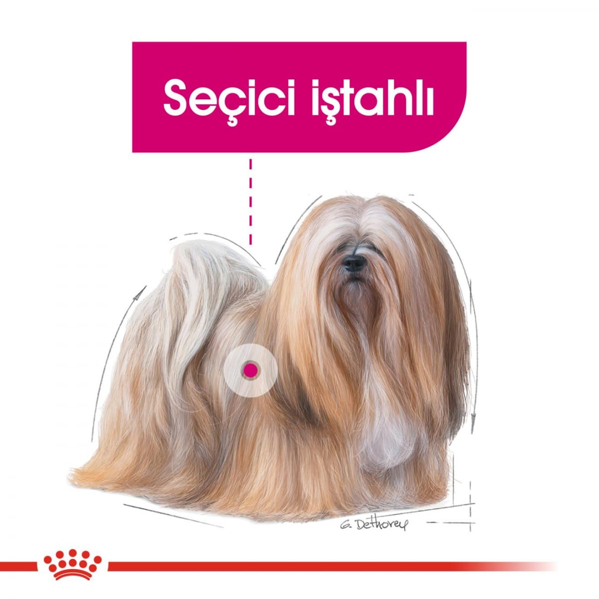 Royal Canin Mini Demalent 3kg