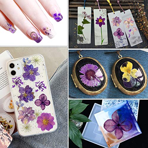 Natural Dried Flowers Mixed Multi-Color Pressed Flower Mini Rose Hydrangea Daisy For Art Craft Diy Resin Nail Art Floral Decors (Purple) #TOP5