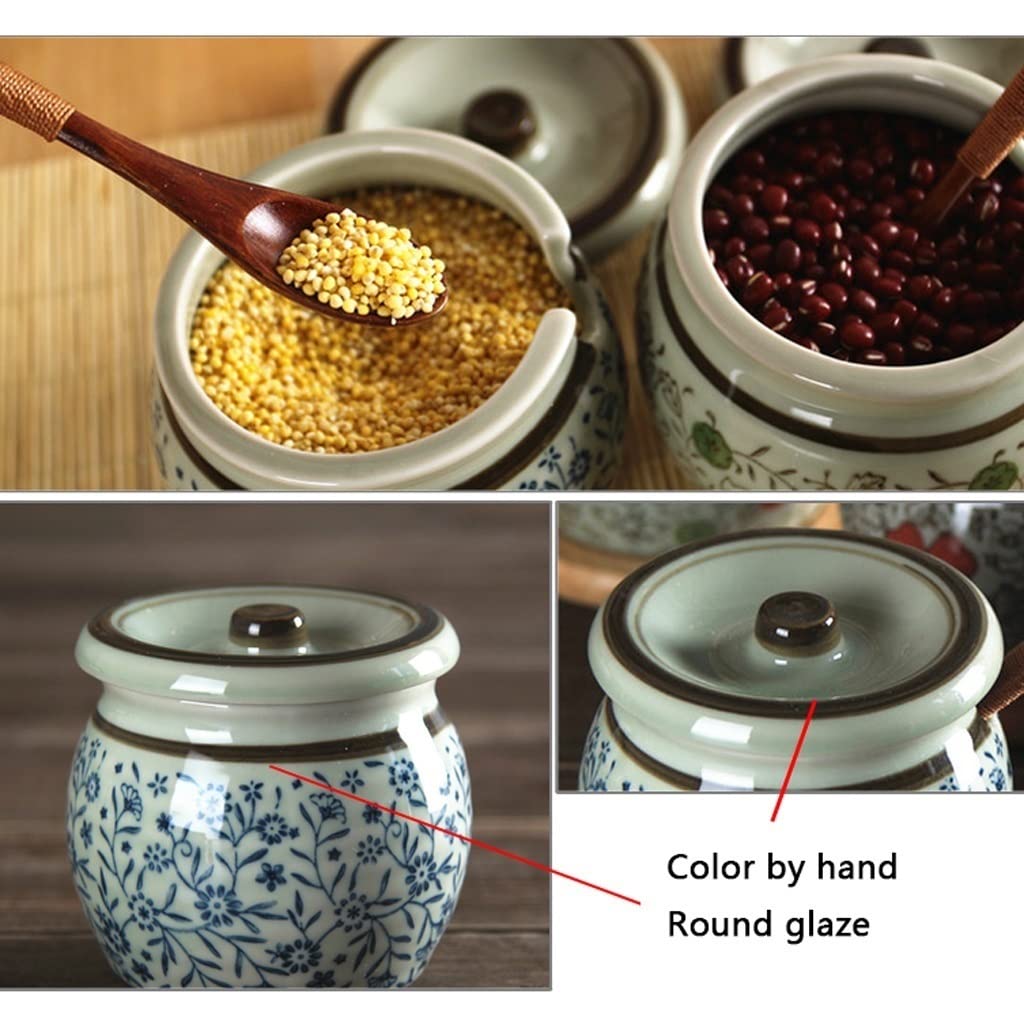 Set di contenitori per condimenti, Contenitore per condimenti in Ceramica da Cucina, Scatola per condimenti per Uso Domestico, Set di contenitori per spezie, zu,D