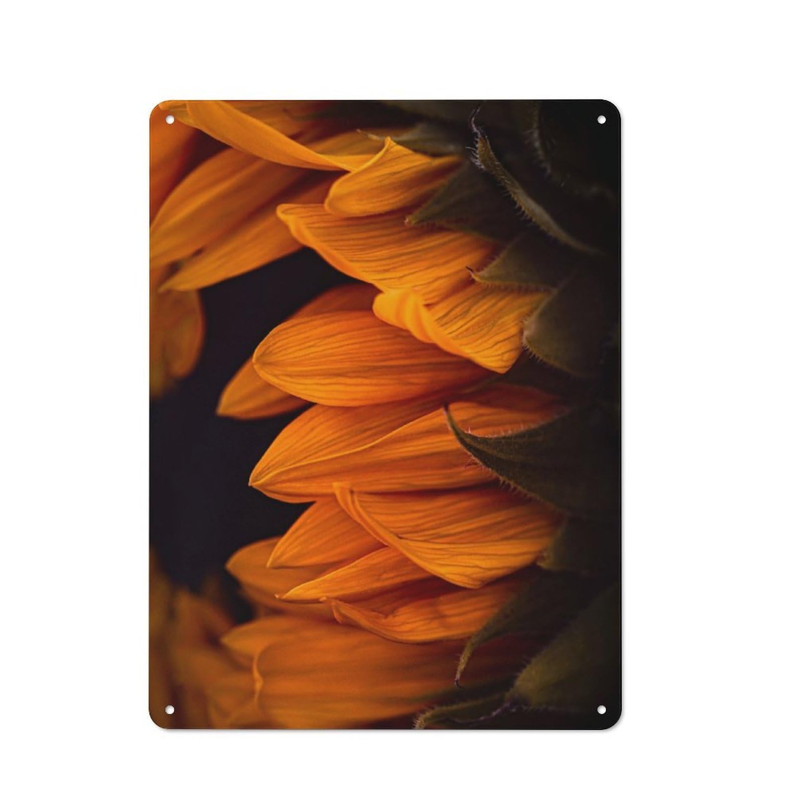 Understated Office Metal Sign 40x30cm Featuring Golden Petals, Studio Wall Plaque for Office, Study, Studio Or Hallway