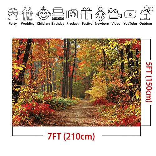 Lywygg Autumn Scenery Deciduous Background 7X5Ft Vinyl Deciduous Mountain Road Photography Backdrop Tree And Yellow Fall Leaves View Background Studio Props Cp-67 #TOP2