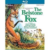 The Belstone Fox