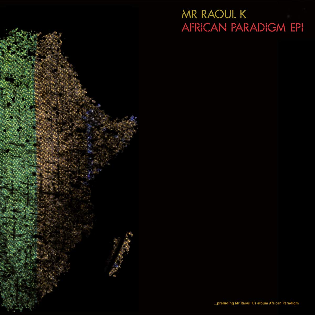African Paradigm Ep 1 [VINYL]