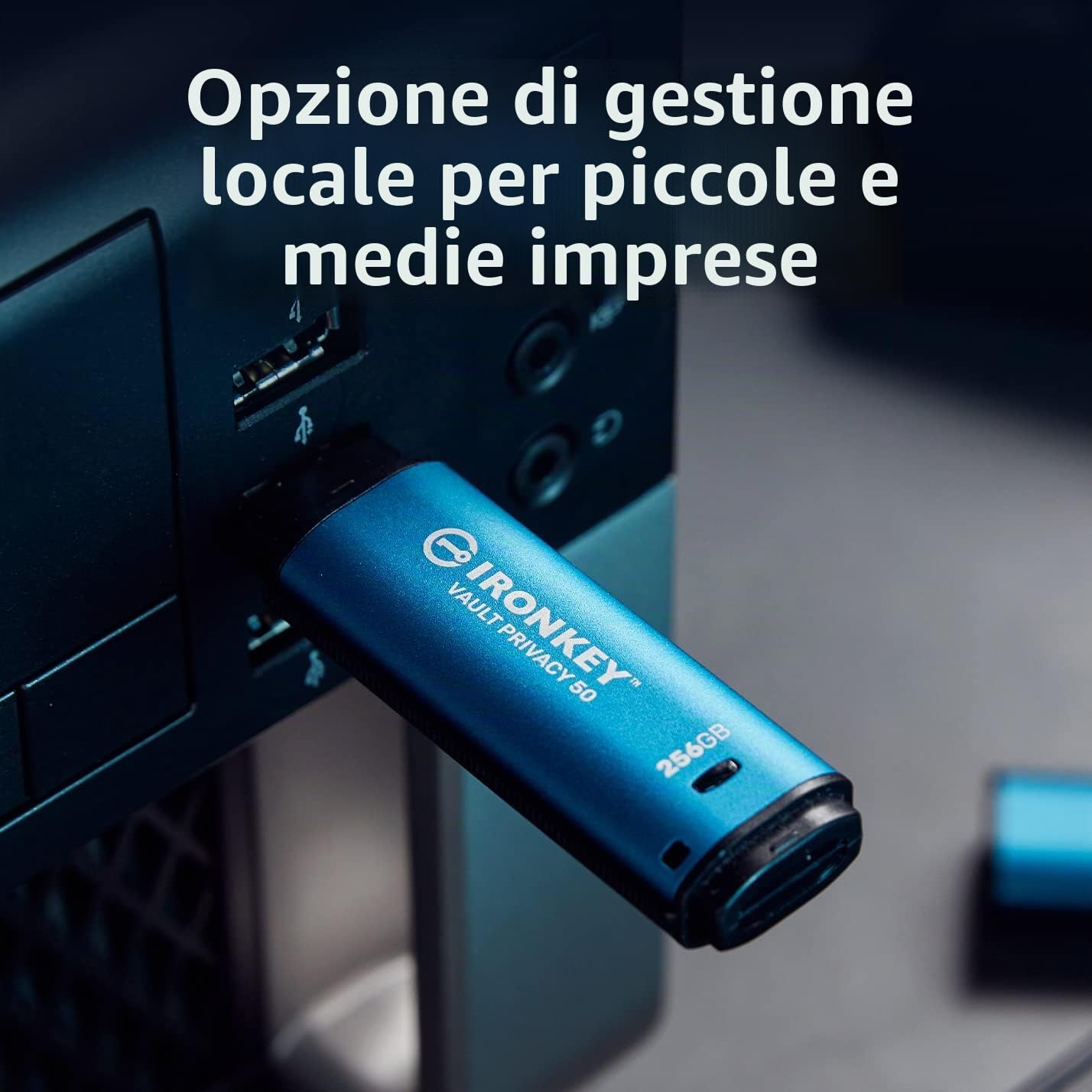 Kingston IronKey Vault Privacy 50 Drive USB con certificazione FIPS 197 e crittografia XTS-AES a 256 bit per la protezione dei dati - IKVP50/32GB