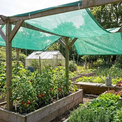 Image of Sun Protection Green Shade Net, Gardening Net, Green Net UV Protection Agro Netting 50% Shade (5x140 Ft)