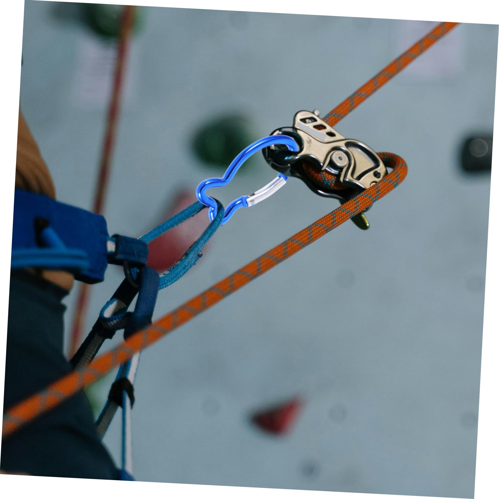 BESTonZON Fischförmige Karabinerhaken Leichte Robuste Sicherheitsclips Für Outdoor Aktivitäten Zum Befestigen Von Schlüsseln Rucksäcken Und Campingzubehör