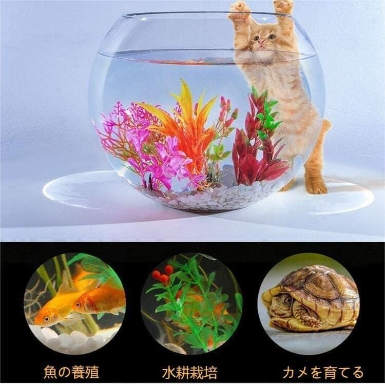 Amazon.co.jp: 丸型金魚鉢 金魚鉢 水槽 アクアリウム プラスチック 大